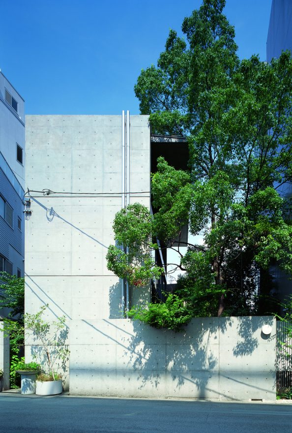 大淀のアトリエアネックス Ⓒ安藤忠雄建築研究所