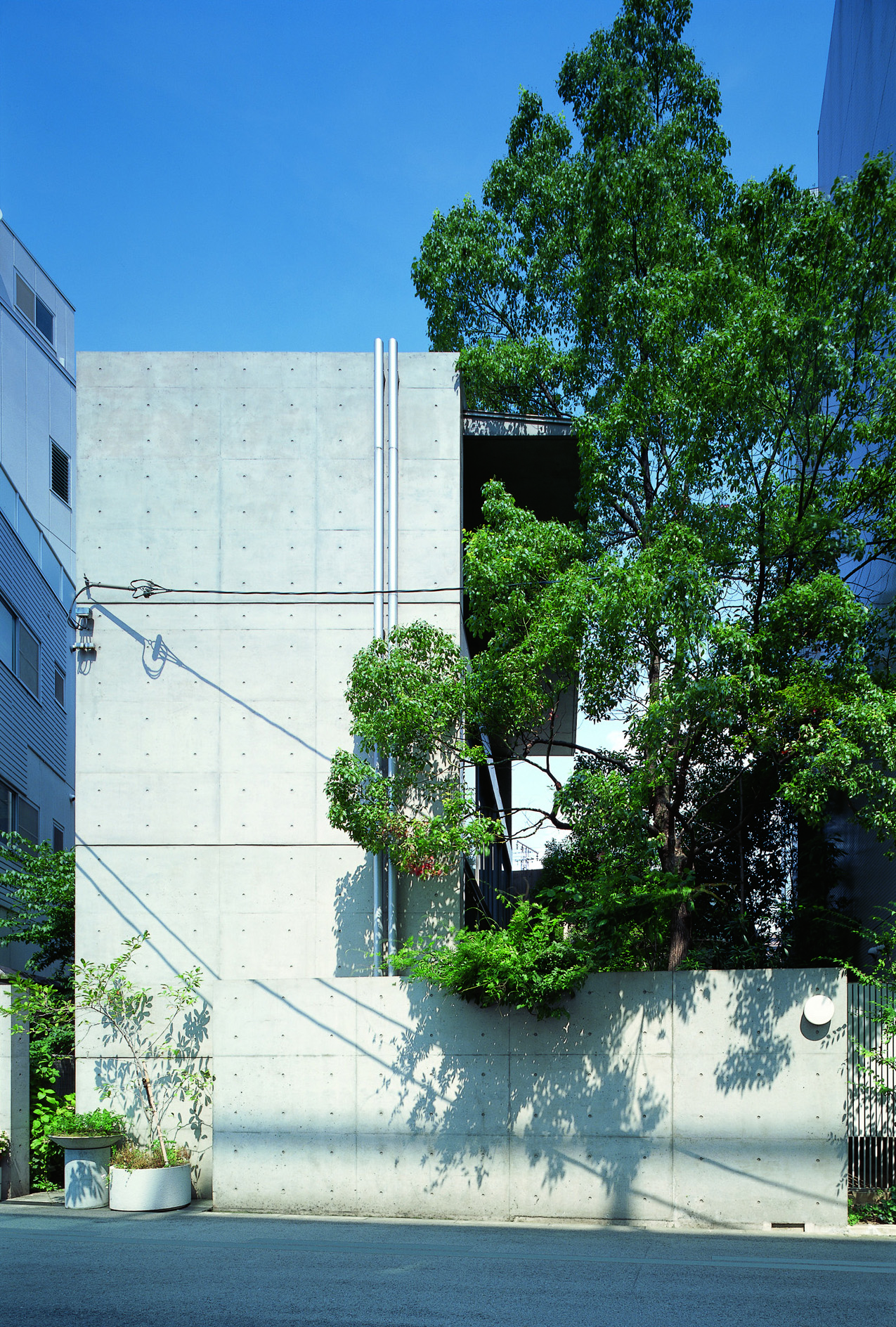 大淀のアトリエアネックス Ⓒ安藤忠雄建築研究所