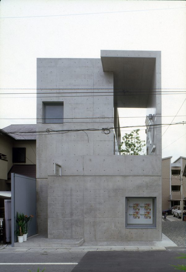 小さい芽 Ⓒ安藤忠雄建築研究所