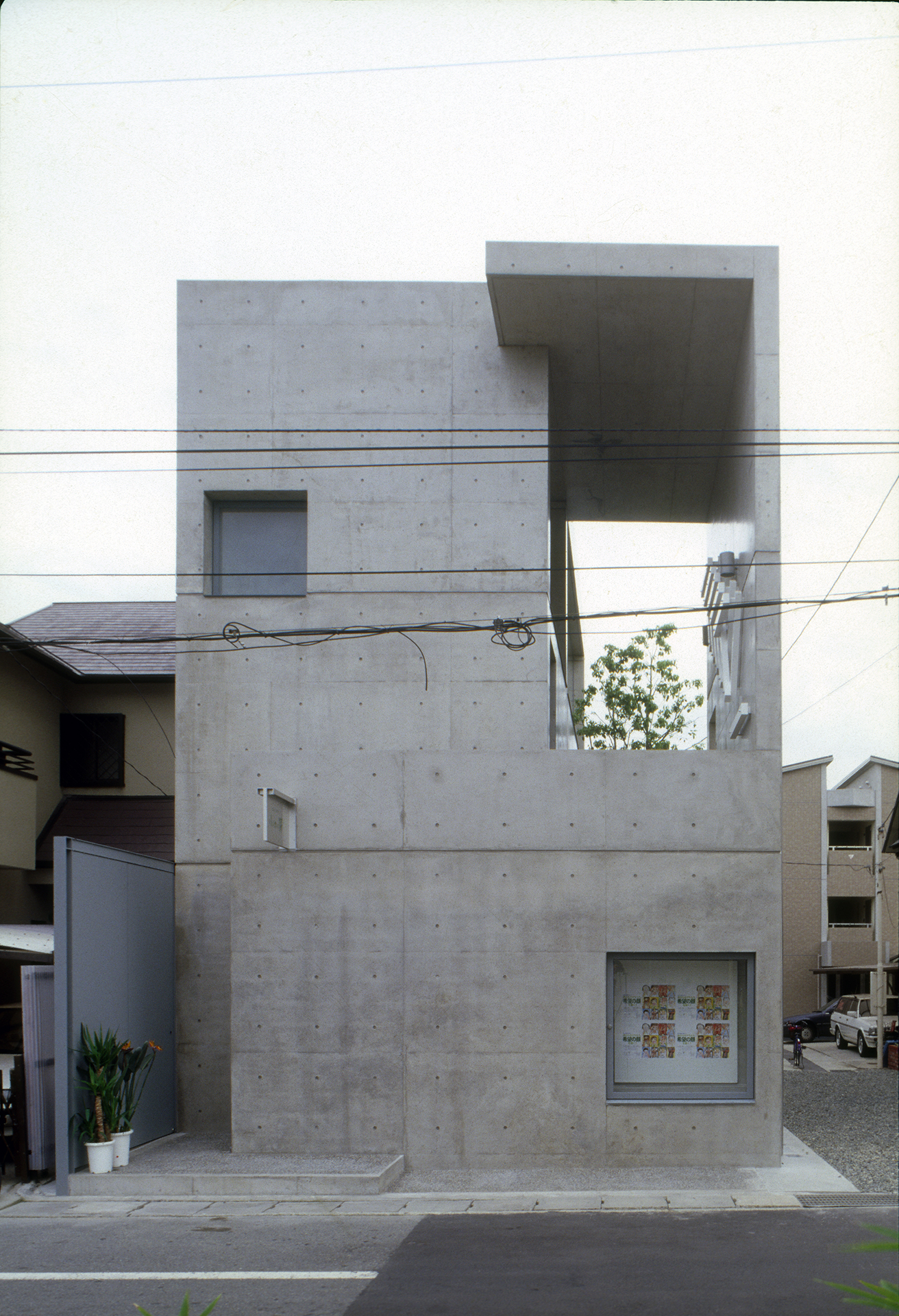 小さい芽 Ⓒ安藤忠雄建築研究所